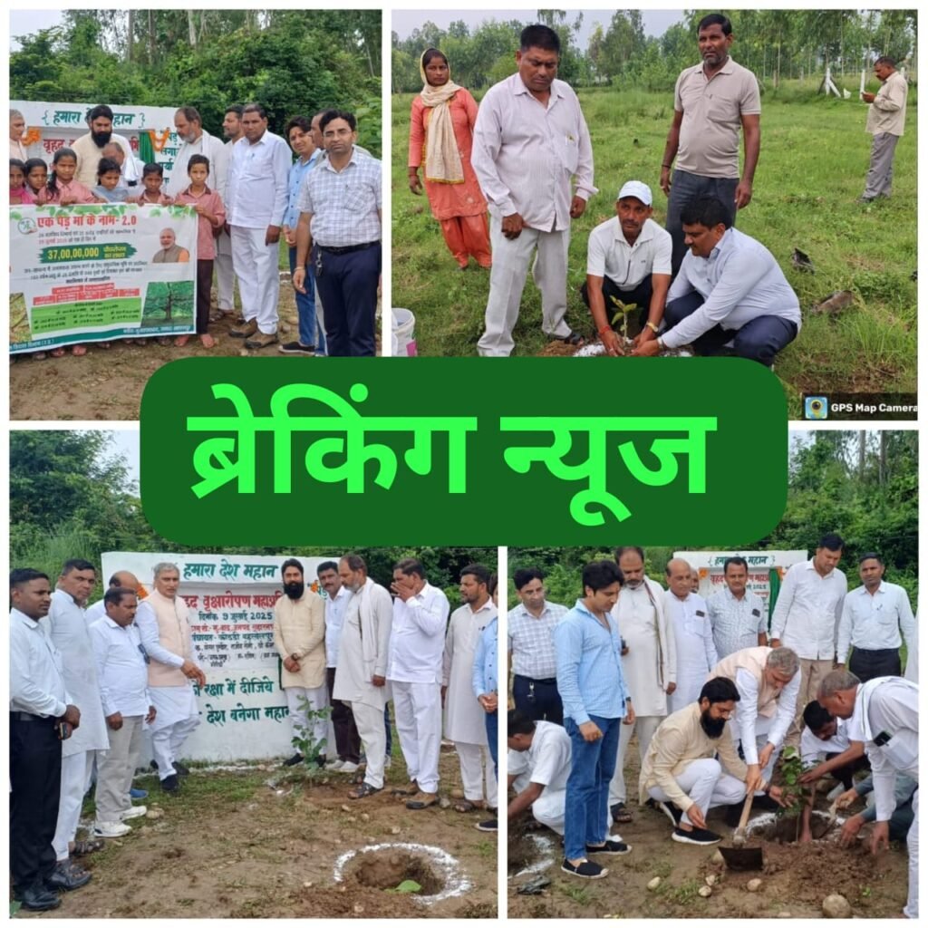 बिहारीगढ़9जुलाई25*वृक्षारोपण अभियान पर्यावरण संरक्षण की दिशा में महत्वपूर्ण कदम: नरेश सैनी*