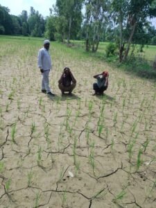 अयोध्या 23जुलाई25*बारिश न होने से किसानों की फसलें खतरे में