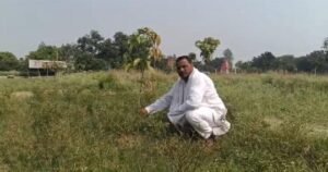 अयोध्या3जुलाई25*पौधारोपण कर पत्रकार ने मनाया अपना जन्म दिन