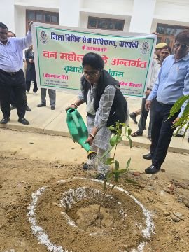 बाराबंकी5जुलाई25* जनपद न्यायाधीश ने न्यायालय परिसर में किया वृक्षारोपण*