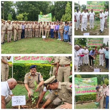 मिर्जापुर: 9जुलाई 25 *मिशन वन महोत्सव 2025*एक पेड़ माँ के नाम*