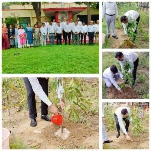 मथुरा9जुलाई25*जिला विधिक सेवा प्राधिकरण ने पर्यावरण दिवस के अवसर पर*"एक पेड मॉ के नाम"*वृक्षारोपण किया।