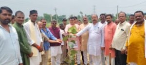 अयोध्या13जुलाई25*विधायक ने रानीमऊ गौशाला में किया पौधरोपण,गौशाला में गायों को खिलाया गुड