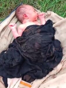 प्रतापगढ़24जुलाई25*जेठवारा रजबहा में मिला लावारिस नवजात शिशु*