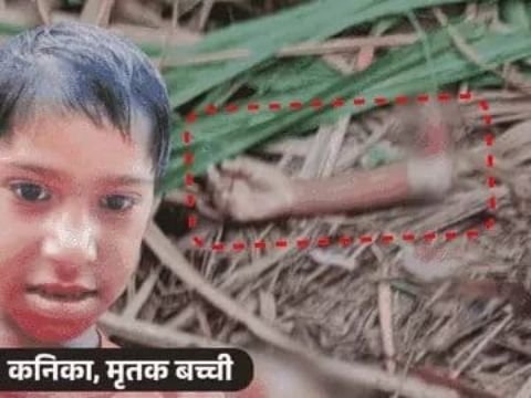 बिजनौर24जुलाई25*बिजनौर में तेंदुआ (गुलदार) 11 साल की बच्ची को खा गया।