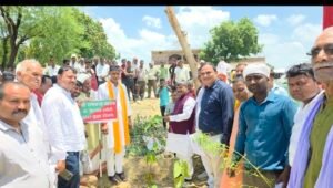 अयोध्या07जुलाई25* रूदौली विधायक ने 'एक पेड़ मां के नाम' अभियान में किया वृक्षारोपण