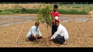 अयोध्या07जुलाई25* पर्यावरण को स्वच्छ व शुद्ध रखने के लिए पेड़ों का बड़ा महत्व- दानिश हुसैन