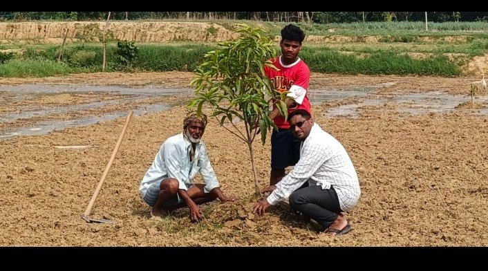 अयोध्या07जुलाई25* पर्यावरण को स्वच्छ व शुद्ध रखने के लिए पेड़ों का बड़ा महत्व- दानिश हुसैन
