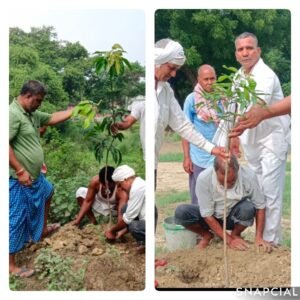 गाजीपुर03जुलाई25* एक पेड़ माँ के नाम योजना का मर्दह मे हुआ शुभारम्भ