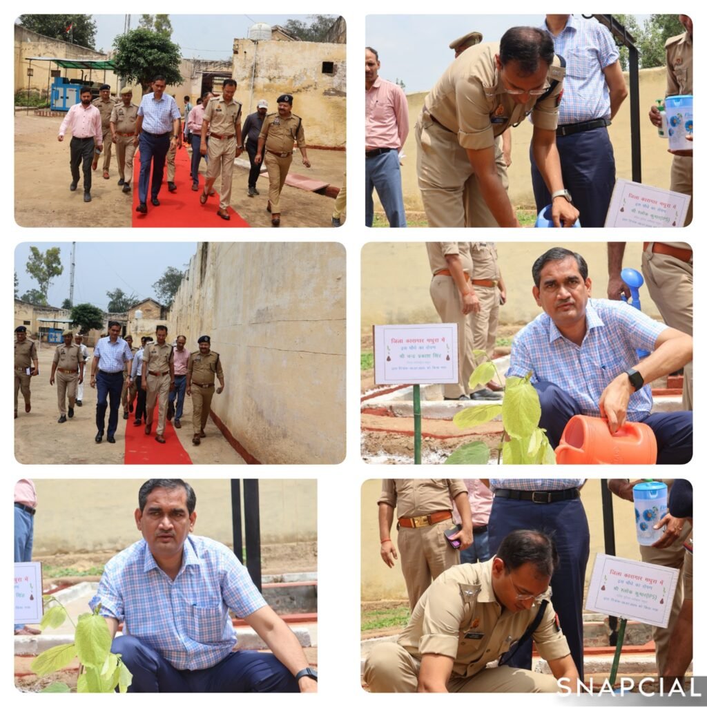 मथुरा 5 जुलाई 25 जिलाधिकारी महोदय, वरिष्ठ पुलिस अधीक्षक एवं अधिकारियों संग जिला कारागार मथुरा का निरीक्षण एवं वृक्षारोपण*