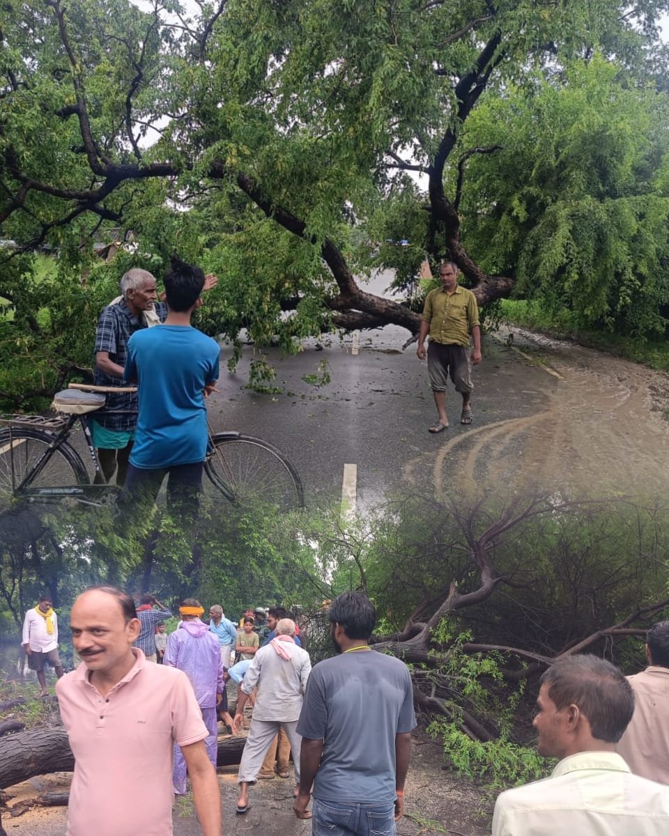 अयोध्या 08अगस्त25*मिल्कीपुर।रात भर हुई बारिश से जनजीवनअस्त-व्यस्त,गांव के मुख्य मार्ग सहित खेत खलिहान भरे लबालब।