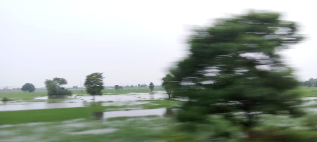 झारखंड 17अगस्त25*में लगातार बारिश से किसानों को भारी नुकसान झारखंड 17अगस्त25*में लगातार बारिश से किसानों को भारी नुकसान