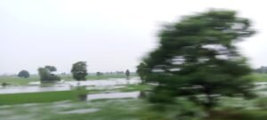 झारखंड 17अगस्त25*में लगातार बारिश से किसानों को भारी नुकसान