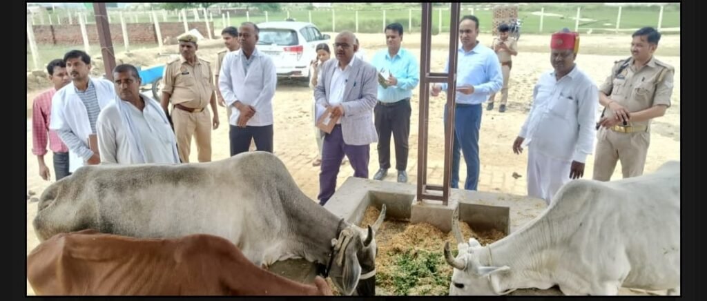 कानपुर नगर18अगस्त25*गौशाला का डीएम ने किया औचक निरीक्षण, भीतरगांव में 23 गौवंश मिले; कानपुर नगर18अगस्त25*गौशाला का डीएम ने किया औचक निरीक्षण, भीतरगांव में 23 गौवंश मिले;