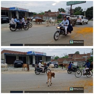 मिर्जापुर: 2अगस्त 25 *शासन के निर्देशों की पशुपालन विभाग व ईओ कर रहे अनदेखी* मिर्जापुर: 2अगस्त 25 *शासन के निर्देशों की पशुपालन विभाग व ईओ कर रहे अनदेखी*