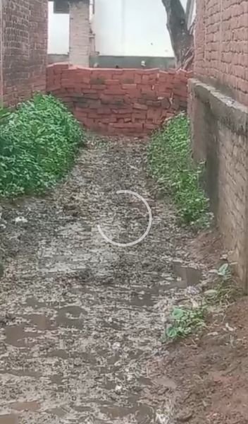 कानपुर नगर3अगस्त25*शिवराजपुर ब्लाक क्षेत्र के तुलापुरवा गांव में दबंगों ने कर रखा चकरोट पर कब्जा