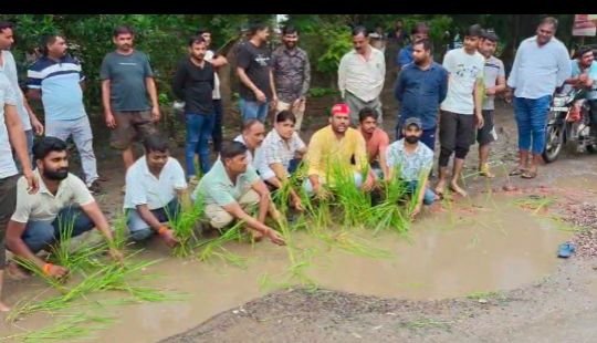 कानपुर3अगस्त25*टूटी सड़क पर सपा कार्यकर्ताओं ने धान की फसल रोप कर भाजपा को घेरा