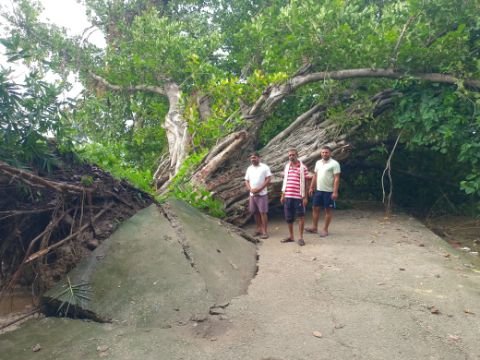 गाजीपुर5अगस्त25*१०० वर्ष पुराना बरगद बाढ़ में धराशाई, संयोग से कोई हताहत नही, आवागमन पूर्णतया बाधित* गाजीपुर5अगस्त25*१०० वर्ष पुराना बरगद बाढ़ में धराशाई, संयोग से कोई हताहत नही, आवागमन पूर्णतया बाधित*