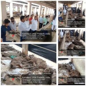 कानपुर नगर12अगस्त25*गौशाला निरीक्षण में कई खुल रहे भ्रष्टाचार