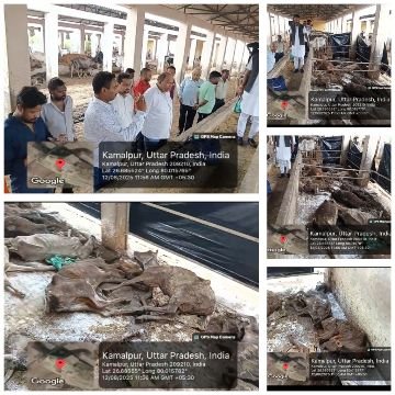 कानपुर नगर12अगस्त25*गौशाला निरीक्षण में कई खुल रहे भ्रष्टाचार