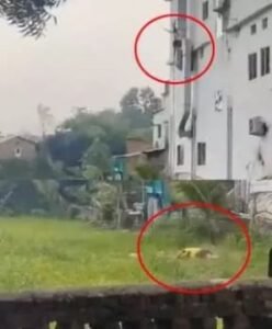 रायपुर छत्तीसगढ़14अगस्त25*Cg:कसडोल के होटल पैराडाइज की तीसरी मंजिल से 18 वर्षीय युवती दीपा बाघ ने रविवार को छलांग लगा दी