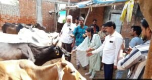 कानपुर नगर16अगस्त25*जन्माष्टमी के पर्व पर अस्थाई गौशाला में गौवंशों का किया गया गौ पूजन