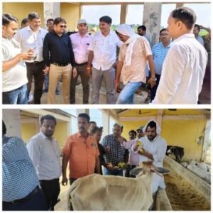 कानपुर नगर16अगस्त25*जन्माष्टमी पर बृहद गौशाला कमालपुर खोदन में ब्लॉक प्रमुख शिवराजपुर द्वारा गौशाला में किया गया गौ पूजन