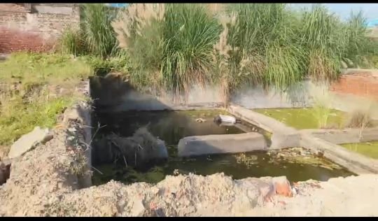 कानपुर देहात 20 अगस्त 2025*कई सालों से बंद पड़ी फैक्ट्री में संघिग्ध अवस्था मे शव मिलने फैली सनसनी