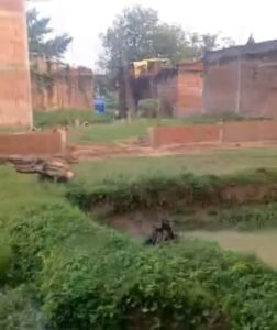 कौशाम्बी28अगस्त25*सरकारी तालाब में कब्जा कर दबंग कर रहे हैं निर्माण*