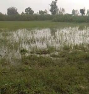 प्रयागराज29अगस्त25*ग्राम सभा मदुरी के सरकारी तालाब रकवा संख्या 472/1 पर कब्जा: भूमाफियाओं के आगे प्रशासन मौन!*