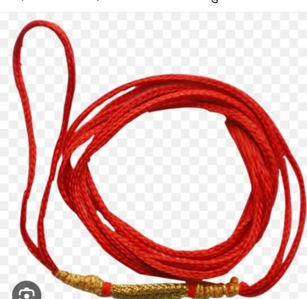 नई दिल्ली6सितम्बर25*अनंत चतुर्दशी को 14 गांठो वाला बांधे रक्षा सूत्र