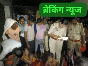 हरदोई1सितम्बर25* आकाशीय बिजली गिरने से महिला व भैंस की मौत, परिवार में कोहराम*