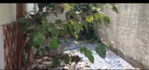 गाजीपुर2सितम्बर25*एस वी एम ग्राम अंतर्गत 15 वा वित आयोग मनरेगा कॉन्वजेंस से निर्मित सामुदायिक शौचालय