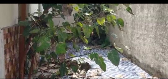 गाजीपुर2सितम्बर25*एस वी एम ग्राम अंतर्गत 15 वा वित आयोग मनरेगा कॉन्वजेंस से निर्मित सामुदायिक शौचालय