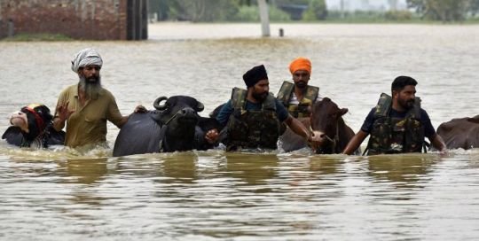 पंजाब3सितम्बर25*पंजाब के सभी 23 जिले बाढ़ प्रभावित घोषित: फसलें बर्बाद, 3.5 लाख लोग प्रभावित पंजाब3सितम्बर25*पंजाब के सभी 23 जिले बाढ़ प्रभावित घोषित: फसलें बर्बाद, 3.5 लाख लोग प्रभावित