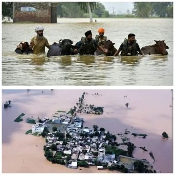 पंजाब5सितम्बर25*पंजाब के सभी 23 जिले बाढ़ प्रभावित घोषित, पंजाब5सितम्बर25*पंजाब के सभी 23 जिले बाढ़ प्रभावित घोषित,