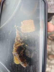 मथुरा5सितंबर25* वृंदावन स्थित गुलशन ढाबा पर खाने में निकली छिपकली वीडियो सोशल मीडिया पर तेजी से वायरल