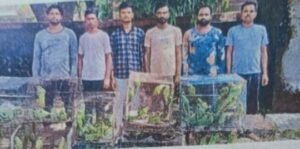 कानपुर नगर22सितम्बर25*प्रतिबंधित पक्षियों को बेचते छह आरोपी गिरफ्तार।