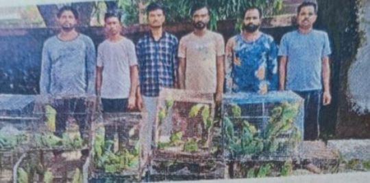 कानपुर नगर22सितम्बर25*प्रतिबंधित पक्षियों को बेचते छह आरोपी गिरफ्तार।