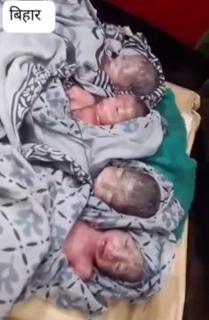 पूर्णिया24सितम्बर25*नवरात्र के दौरान पूर्णिया में चमत्कार ! महिला ने एक साथ चार बच्चियों को दिया जन्म... पूर्णिया24सितम्बर25*नवरात्र के दौरान पूर्णिया में चमत्कार ! महिला ने एक साथ चार बच्चियों को दिया जन्म...