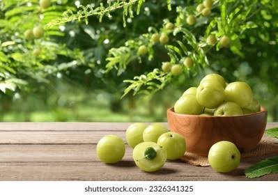 नई दिल्ली10सितम्बर25*यूपीआजतक न्यूज़ चैनल पर.देखिए *🏵️आंवला के फायदे-उपयोग🏵️* नई दिल्ली10सितम्बर25*यूपीआजतक न्यूज़ चैनल पर.देखिए *🏵️आंवला के फायदे-उपयोग🏵️*