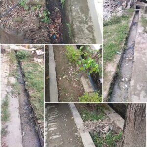 सहारनपुर13अक्टूबर25*वार्ड 27 के आर्य नगर कॉलोनी मे नालीयों मे भरी गंदगी के कारण मच्छरों का प्रकोप बढ रहा है।