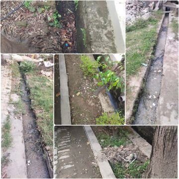 सहारनपुर13अक्टूबर25*वार्ड 27 के आर्य नगर कॉलोनी मे नालीयों मे भरी गंदगी के कारण मच्छरों का प्रकोप बढ रहा है।