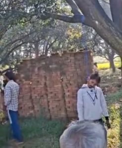 बिजनौर13अक्टूबर25*आम के बाग मे फांसी के फंदे पर लटका मिला युवक का शव*।