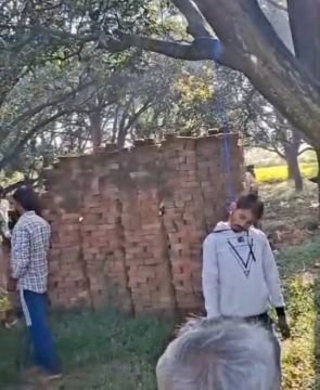 बिजनौर13अक्टूबर25*आम के बाग मे फांसी के फंदे पर लटका मिला युवक का शव*।