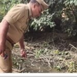 हरदोई25अक्टूबर25*हरदोई में बाइक पेड़ से टकराईः युवक की मौत, शव खंती में मिला