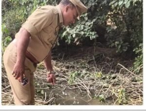 हरदोई25अक्टूबर25*हरदोई में बाइक पेड़ से टकराईः युवक की मौत, शव खंती में मिला हरदोई25अक्टूबर25*हरदोई में बाइक पेड़ से टकराईः युवक की मौत, शव खंती में मिला