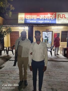 मथुरा 26 अक्टूबर 25*थाना मगोर्रा पुलिस द्वारा एक अभियुक्त को किया गिरफ्तार, कब्जे से 24 पौआ अवैध देशी शराब बरामद ।* मथुरा 26 अक्टूबर 25*थाना मगोर्रा पुलिस द्वारा एक अभियुक्त को किया गिरफ्तार, कब्जे से 24 पौआ अवैध देशी शराब बरामद ।*