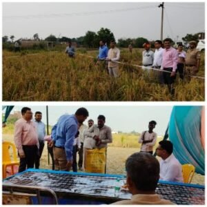 कानपुर देहात29अक्टूबर25*जिलाधिकारी की उपस्थिति में खरीफ फसल धान की उत्पादकता का किया गया आकलन*