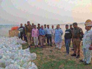 कानपुर देहात13नवम्बर25*अमराहट कैनाल तहसील सिकन्दरा स्थित यमुना नदी में 2.00 लाख मत्स्य अंगुलिका छोड़ी गयी।*